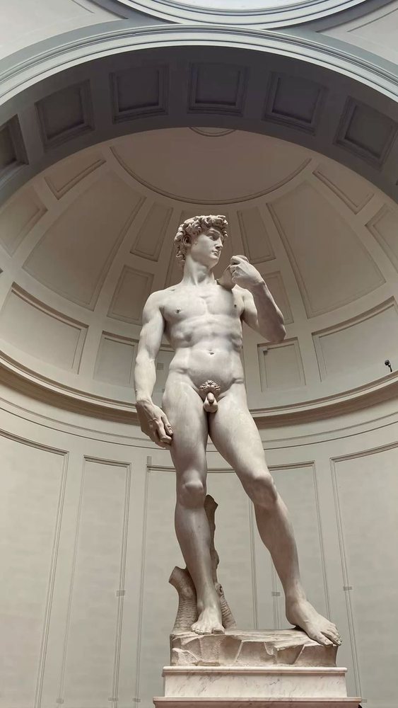 Il David di Michelangelo alla Galleria dell'Accademia di Firenze